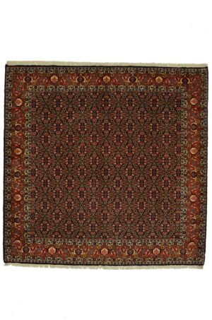 Bidjar Tekab Mehri, Sonderformat