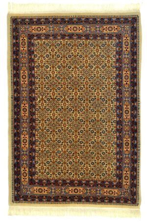 Herati squip, Rarität