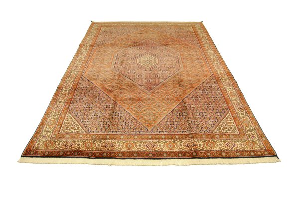 Bidjar Tekab – Bild 2