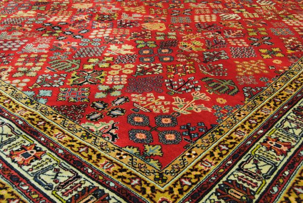 My My Zad-Kollektion – Bild 6