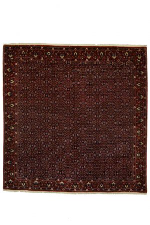 Bidjar Boukan Sonderformat