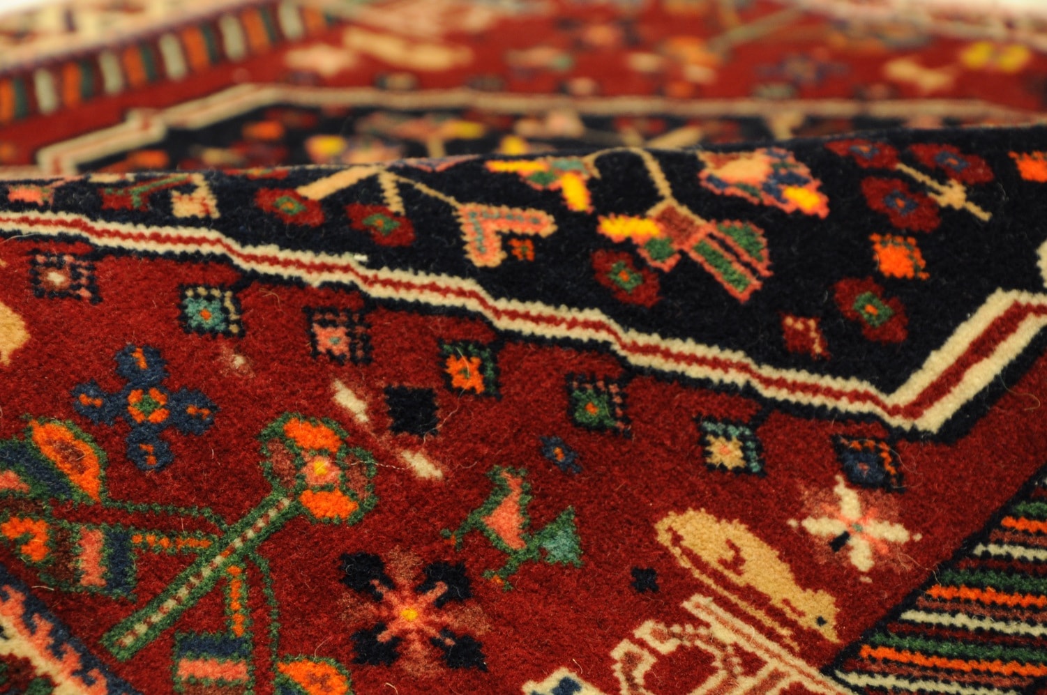 Gashghai fein – Bild 2