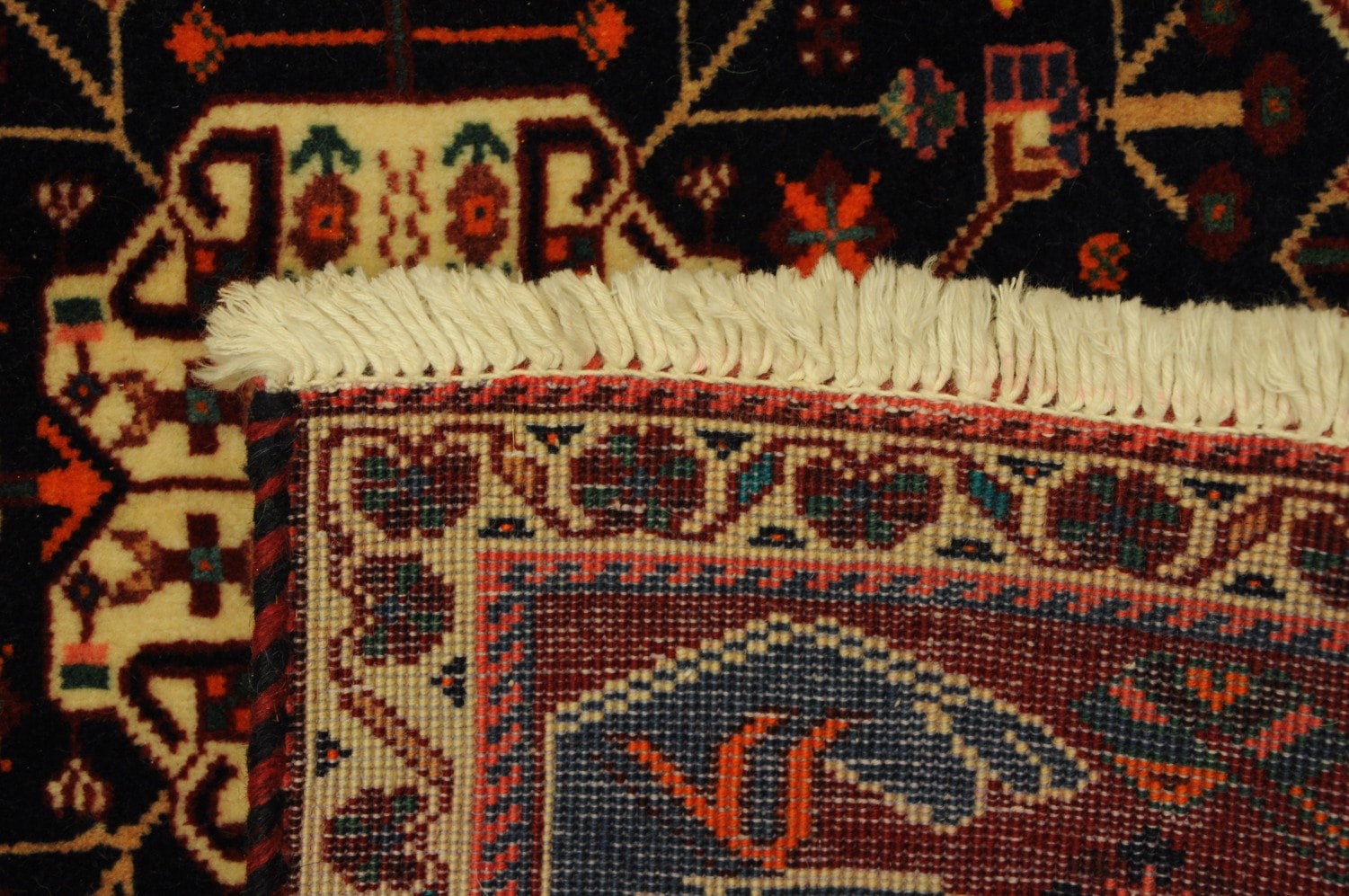 Gashghai fein – Bild 5