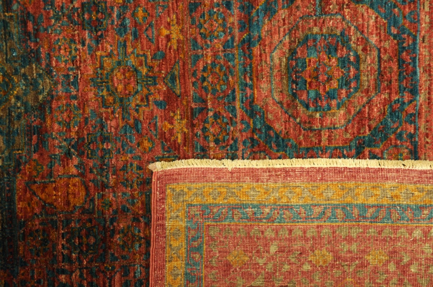 Mamlouk Fein – Bild 4