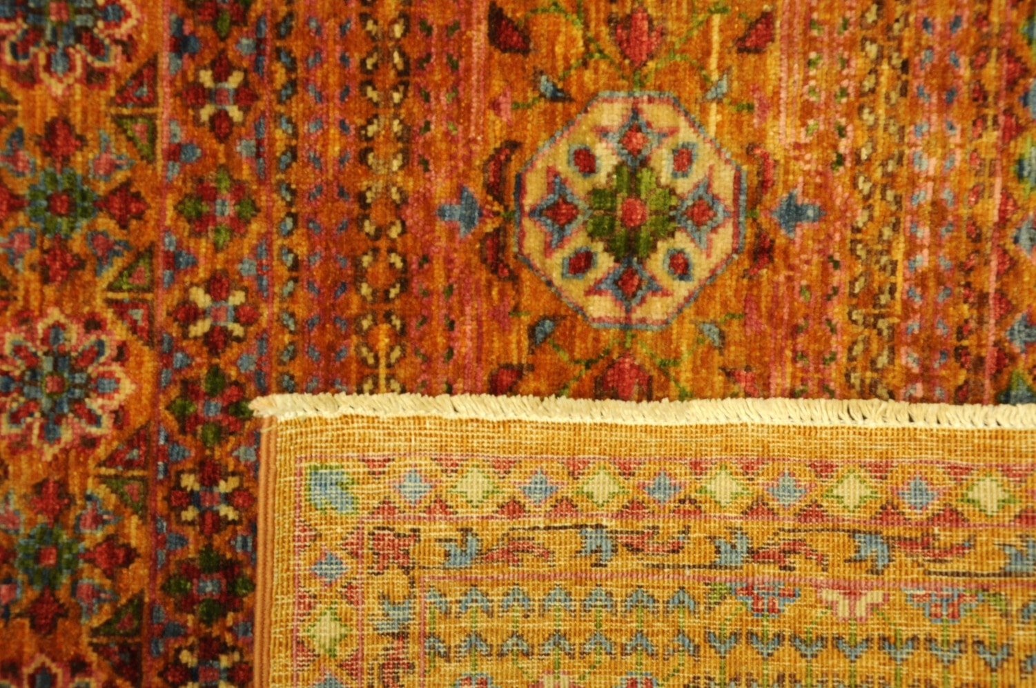 Mamlouk Fein – Bild 6