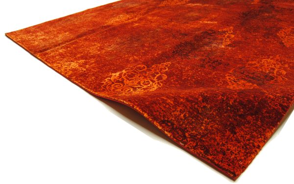 Talia HONAR – Bild 4