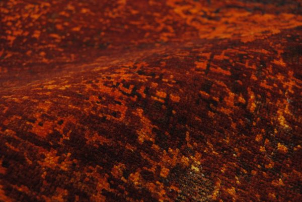 Talia HONAR – Bild 5