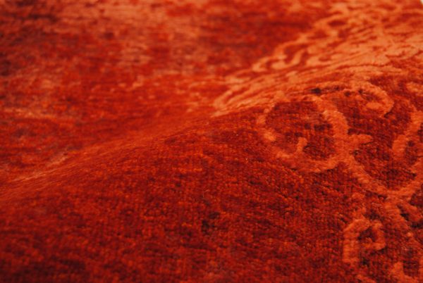 Talia HONAR – Bild 5