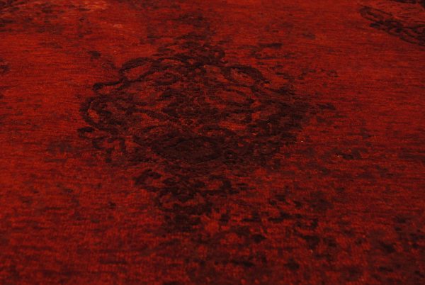 Talia HONAR – Bild 6