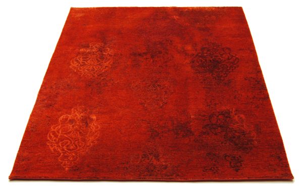 Talia HONAR – Bild 2