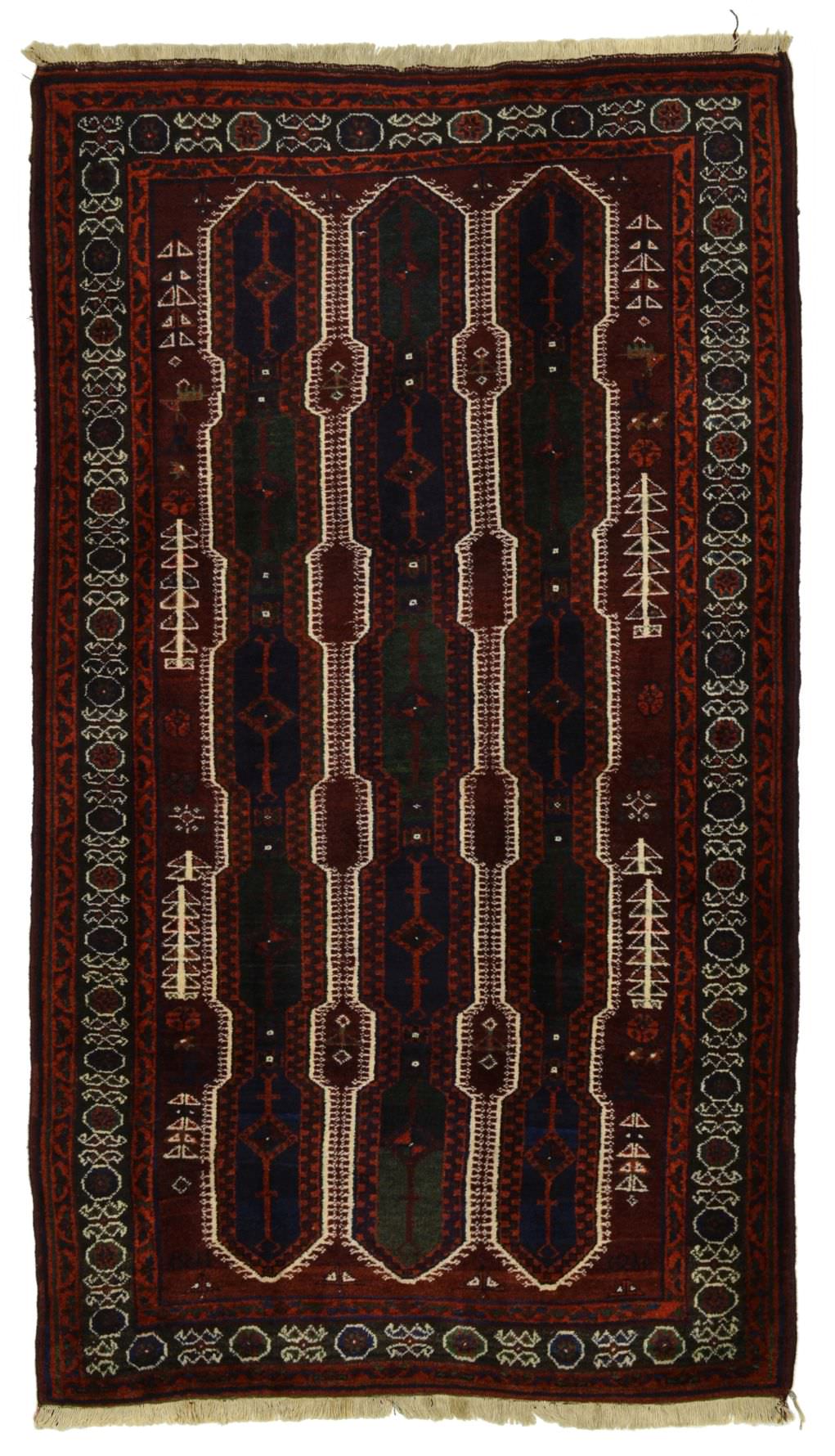 Kolyai,alt,Hochlandwolle