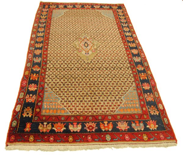 Taleghan Sondermass – Bild 2