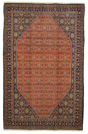 Kaschkuli fein, Rarität