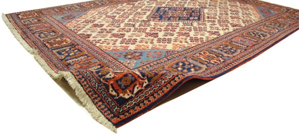 Mymy Djoschegan – Bild 4