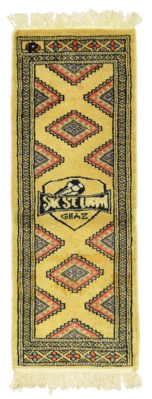 Jaldar fein SK STURM