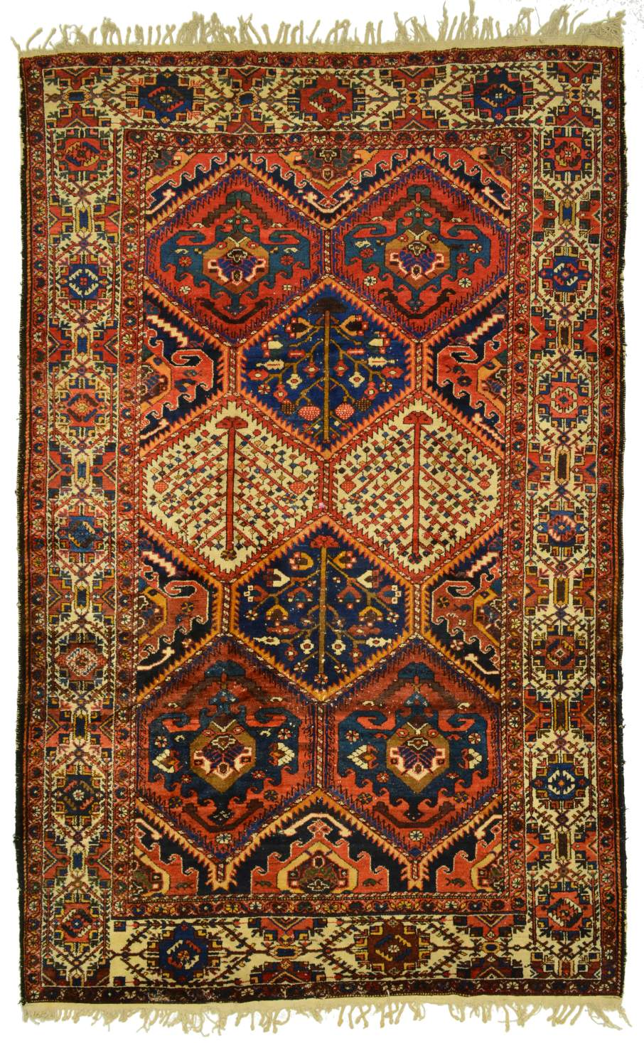 Bachtiar semiold , beschädigt