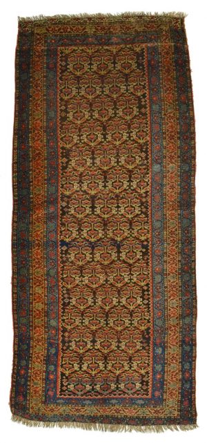 Malayer antik, Rarität