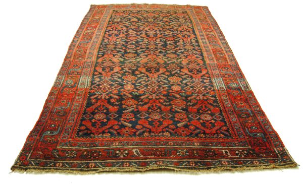 Kordi Bidjar – Bild 2