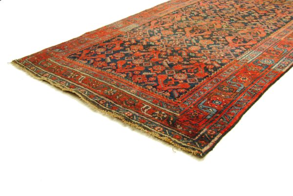 Kordi Bidjar – Bild 4